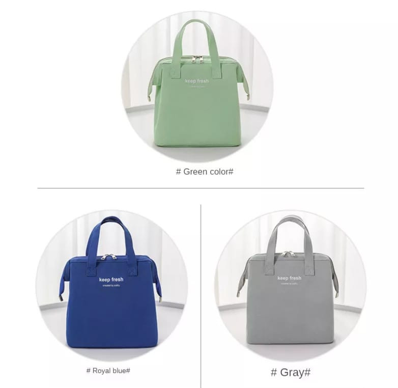 Portable Insulated Lunch Bag